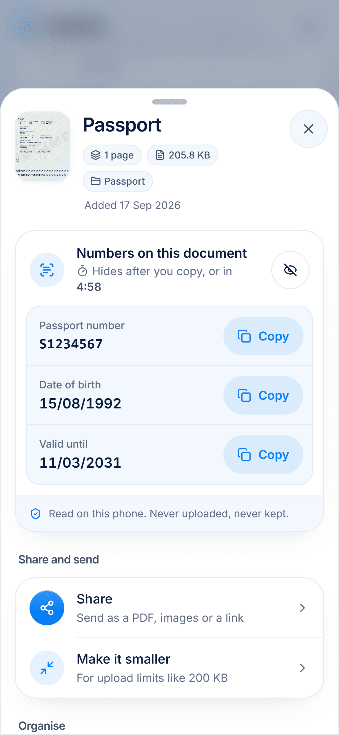 Numbers read from a document in DigiSafe, each with a Copy button